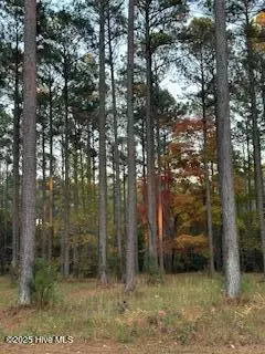 95 Corrolla Loop Rd, Oriental, NC 28571 photo 5