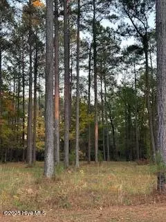 95 Corrolla Loop Rd, Oriental, NC 28571 photo 2