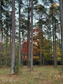 95 Corrolla Loop Rd, Oriental, NC 28571 photo 4