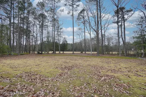 357 Loblolly Dr, Vass, NC 28394 photo 46