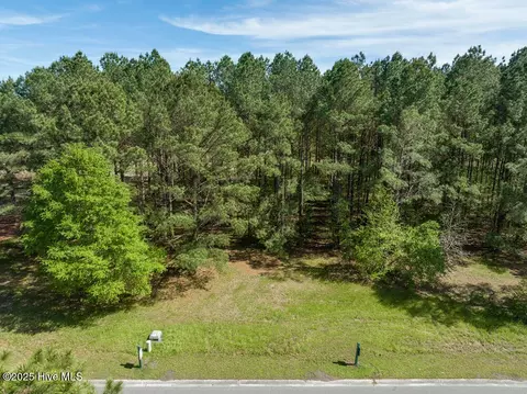 118 Firefly Dr, Wallace, NC 28466 photo 8