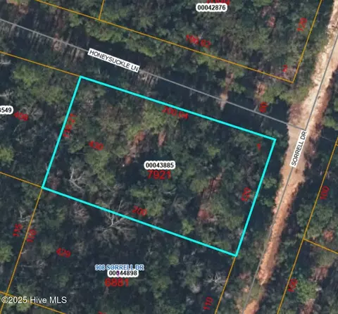 900 Sorrell Dr, Vass, NC 28394