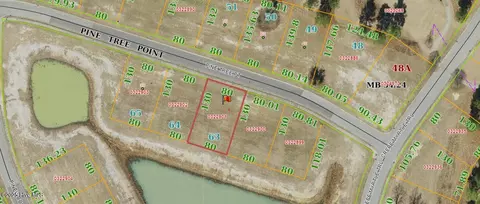 67 Pine Tree Pt, Snow Hill, NC 28580