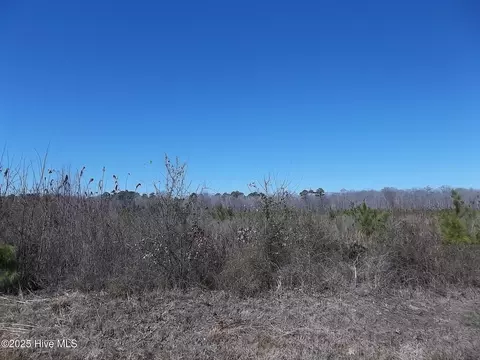 lot Apt 4 Boat Ramp Rd, New Hope, NC 27944