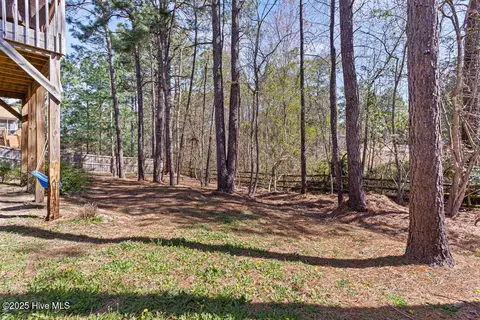 6 Overpeck Ln, Pinehurst, NC 28374 photo 38