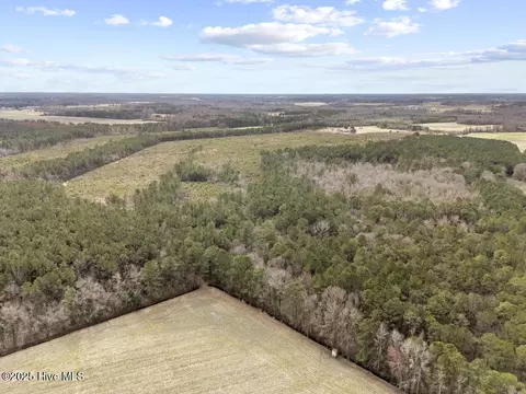 View/Area - 2455 E Darden Rd, Faison, NC 28341 photo 6 of 8