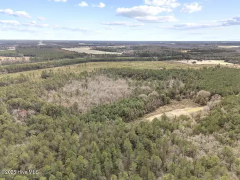 Other - 2455 E Darden Rd, Faison, NC 28341 photo 9 of 9