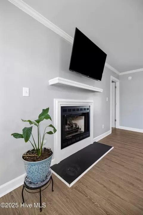 Living - 105 Olive Ln, Mount Olive, NC 28365 photo 3 of 4
