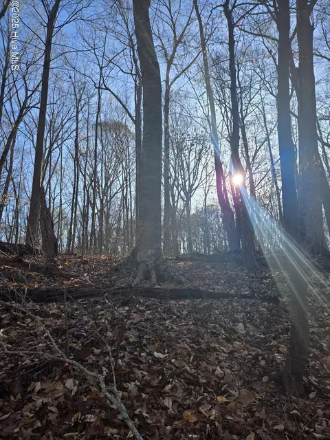 3739 Ballard Rd, Williamston, NC 27892