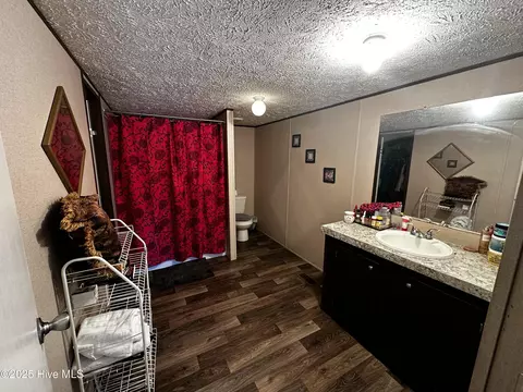 539 Queen St, Simpson, NC 27879 photo 9