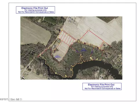 8 Sawmill Landing Rd, Bath, NC 27808 photo 3