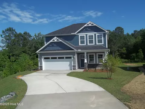 210 Balustrade Way, Hampstead, NC 28443 photo 3
