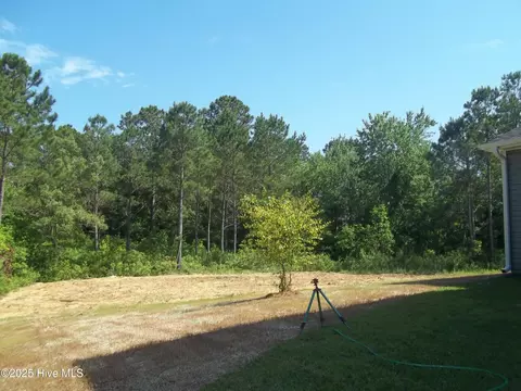 210 Balustrade Way, Hampstead, NC 28443 photo 8