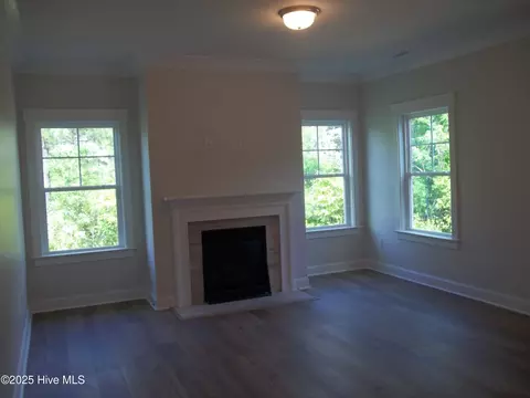 210 Balustrade Way, Hampstead, NC 28443 photo 11