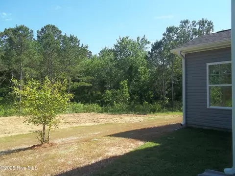 210 Balustrade Way, Hampstead, NC 28443 photo 7