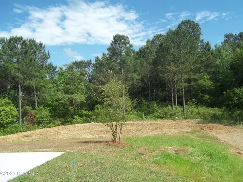 210 Balustrade Way, Hampstead, NC 28443 photo 6