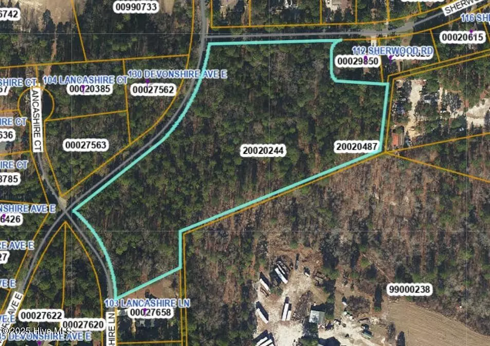  000 Devonshire East Ave, West End, NC 27376 photo 1