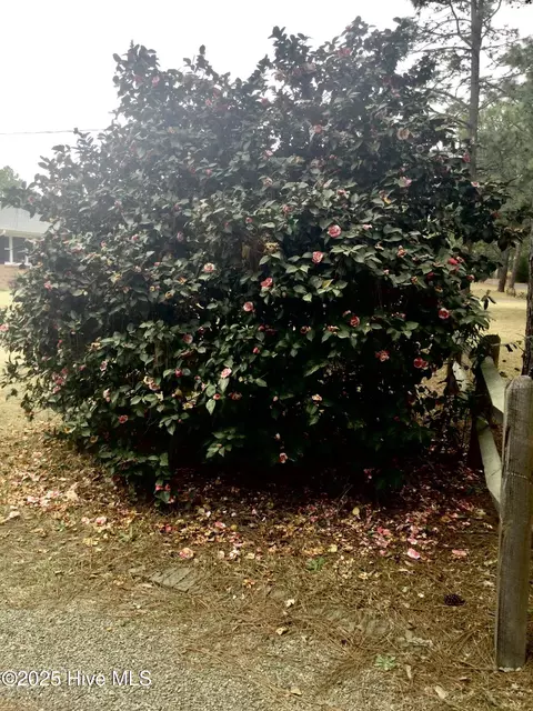 Exterior - 410 N Currant St, Pinebluff, NC 28373 photo 2 of 9