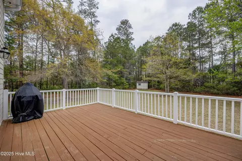 203 Headwaters Dr, Hampstead, NC 28443 photo 44