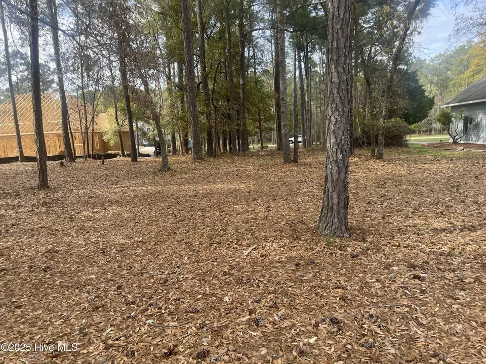  359 Genoes Point Rd SW, Supply, NC 28462 photo 6