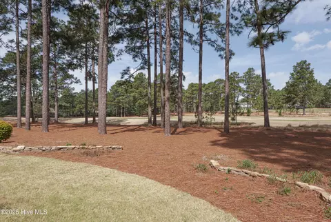 Exterior - 14 Dungarvan Ln, Pinehurst, NC 28374 photo 6 of 9