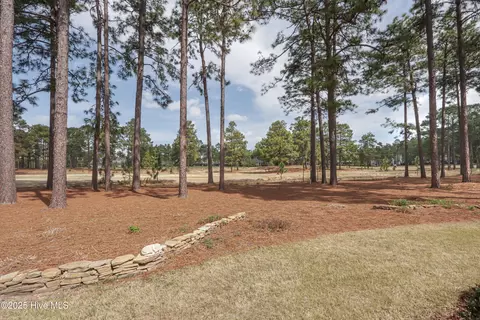 Exterior - 14 Dungarvan Ln, Pinehurst, NC 28374 photo 8 of 9