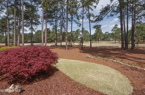Exterior - 14 Dungarvan Ln, Pinehurst, NC 28374 photo 5 of 9