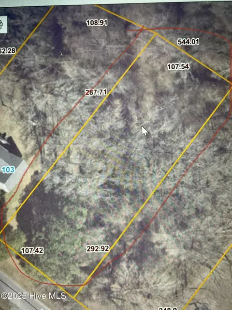 105 Tarheel Dr, Mount Olive, NC 28365
