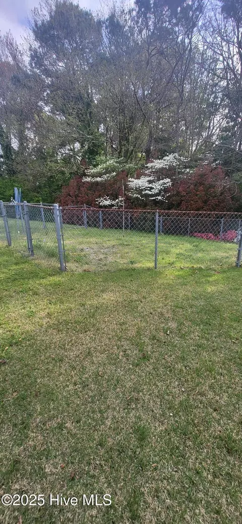 111 Allison Dr, Dudley, NC 28333 photo 7