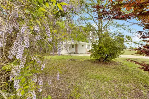 Exterior - 3911 Penderlea Hwy, Willard, NC 28478 photo 2 of 8