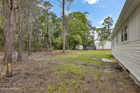 Exterior - 3911 Penderlea Hwy, Willard, NC 28478 photo 5 of 8