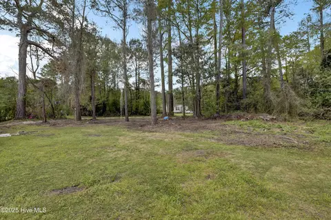 Exterior - 3911 Penderlea Hwy, Willard, NC 28478 photo 8 of 8