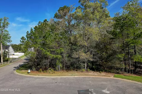 973 Billys Dream Cir SW, Supply, NC 28462