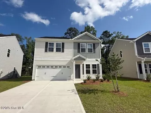 2317 Flowery Branch Dr #LOT 245, Castle Hayne, NC 28429