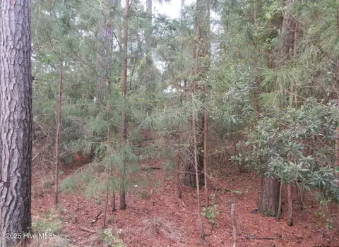 3005 Martins Point Rd, Kitty Hawk, NC 27949 photo 3