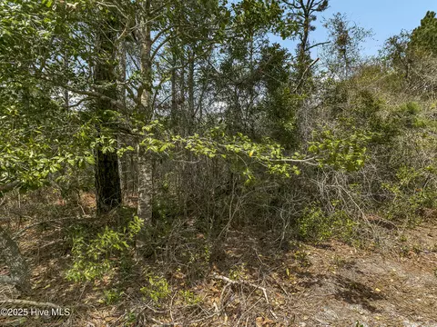00 Old Whitfield Rd, Hampstead, NC 28443 photo 6