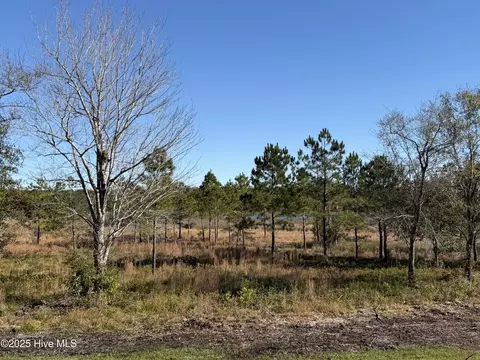View/Area - 302 E Ivybridge Dr, Hubert, NC 28539 photo 3 of 6