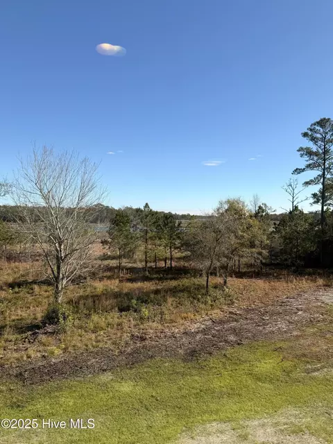 View/Area - 302 E Ivybridge Dr, Hubert, NC 28539 photo 1 of 6