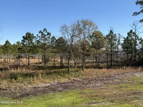 View/Area - 302 E Ivybridge Dr, Hubert, NC 28539 photo 2 of 6