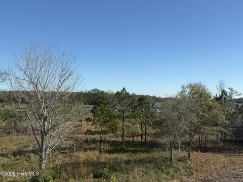 View/Area - 302 E Ivybridge Dr, Hubert, NC 28539 photo 4 of 6
