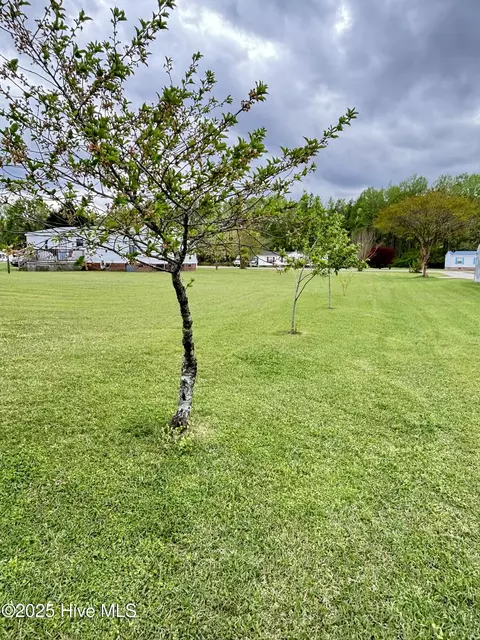 116 Bowles Place Dr, Como, NC 27818 photo 47