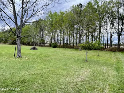 116 Bowles Place Dr, Como, NC 27818 photo 42