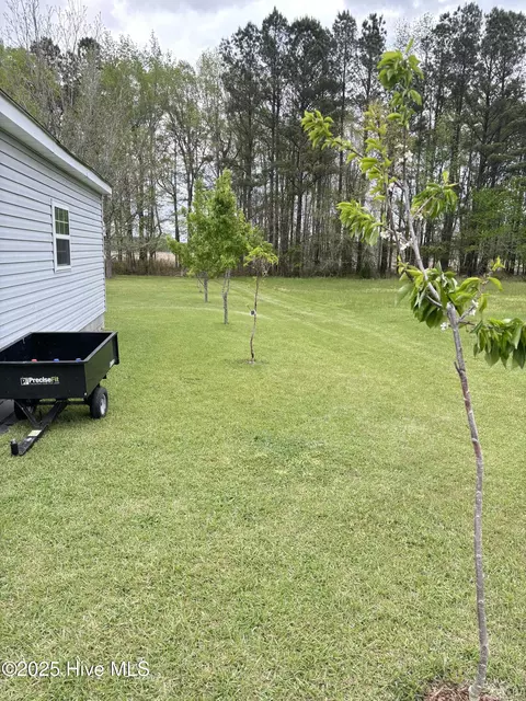 116 Bowles Place Dr, Como, NC 27818 photo 40