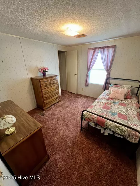 7335 Shallingtons Mill Rd, Macclesfield, NC 27852 photo 9