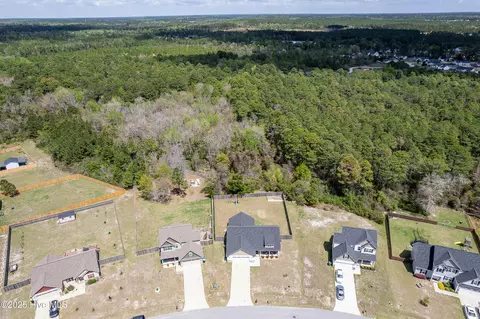 View/Area - 210 Tappi Ter, Hubert, NC 28539 photo 1 of 6