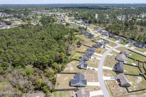 View/Area - 210 Tappi Ter, Hubert, NC 28539 photo 4 of 6