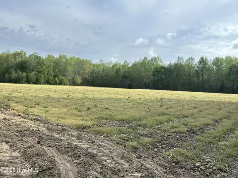 tbd Jones White Rd, Roper, NC 27970