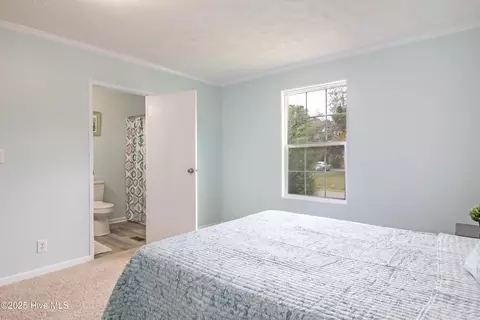 202 Mcgregor Rd, Castle Hayne, NC 28429 photo 13