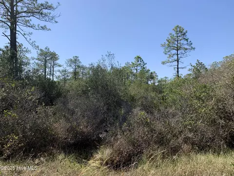 lot149 Bermuda Rd, Boiling Spring Lakes, NC 28461
