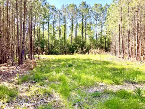 551 Berrys Creek Rd, Beaufort, NC 28516